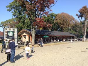 img_3487