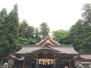 IMG_0850