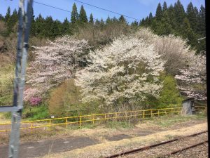 B6BED92A-4EFD-4CE9-8EBD-C2C43690E597